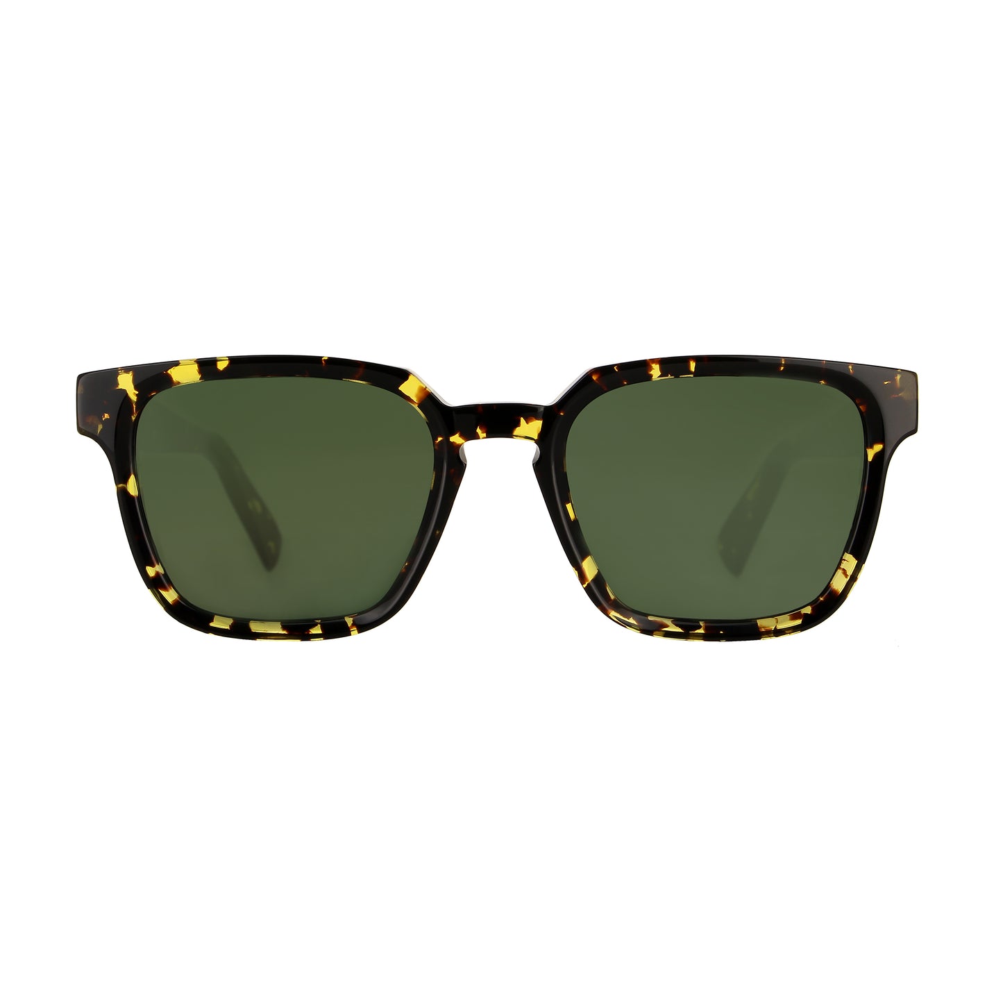 VS2501-A603