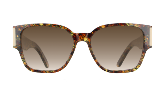 VS1698-A639